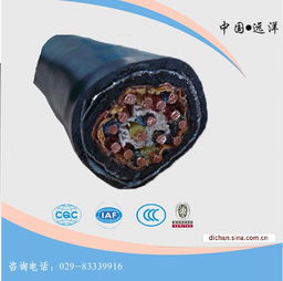 西安電線電纜廠 計算機(jī)電纜與控制電纜價格解析及高清大圖鑒賞